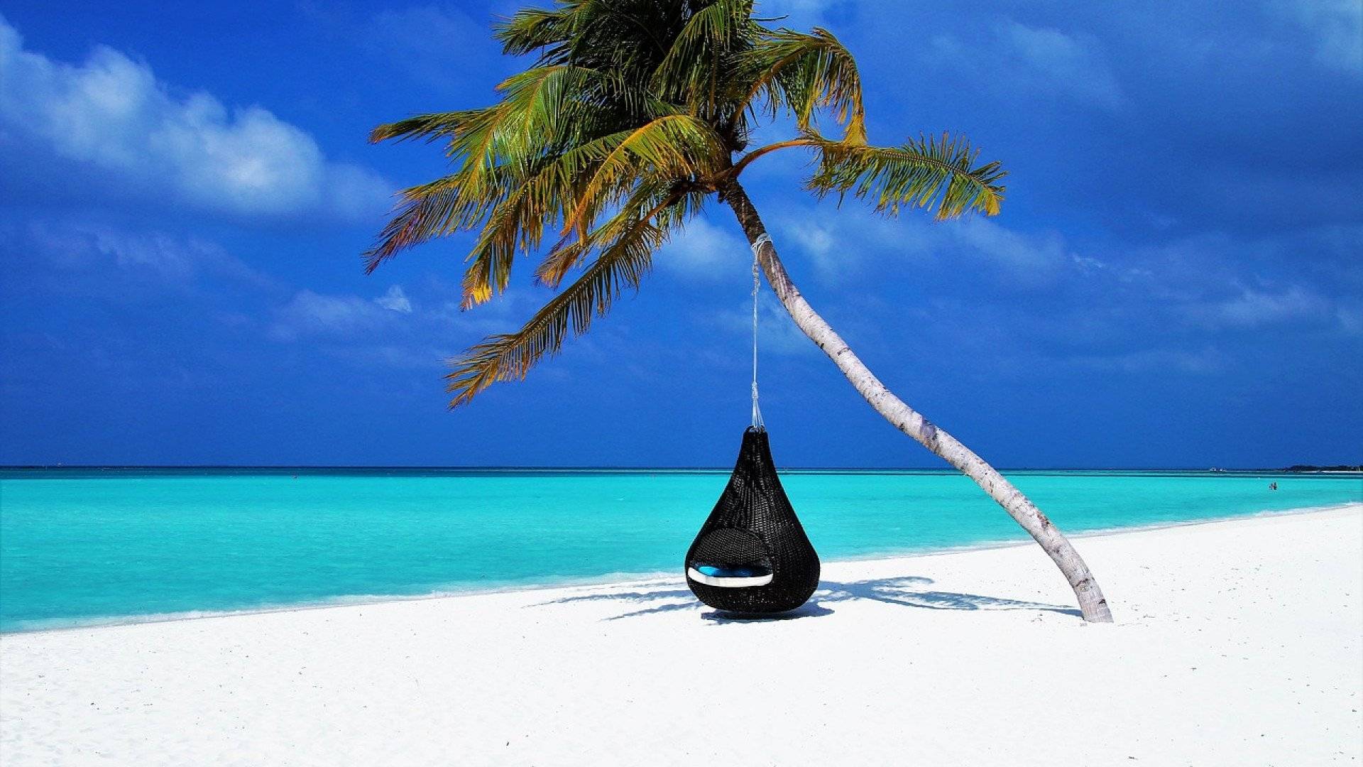 Comment réussir à passer des vacances écoresponsables ?