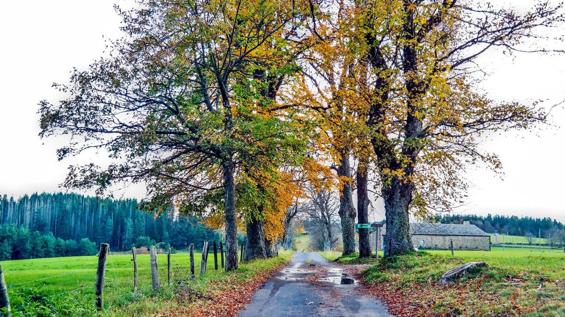 Quel est le programme en Ardèche pour ce week-end ?