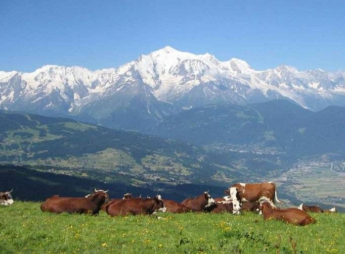 Week-end en Haute-Savoie : découvrez les plus belles villes de la région