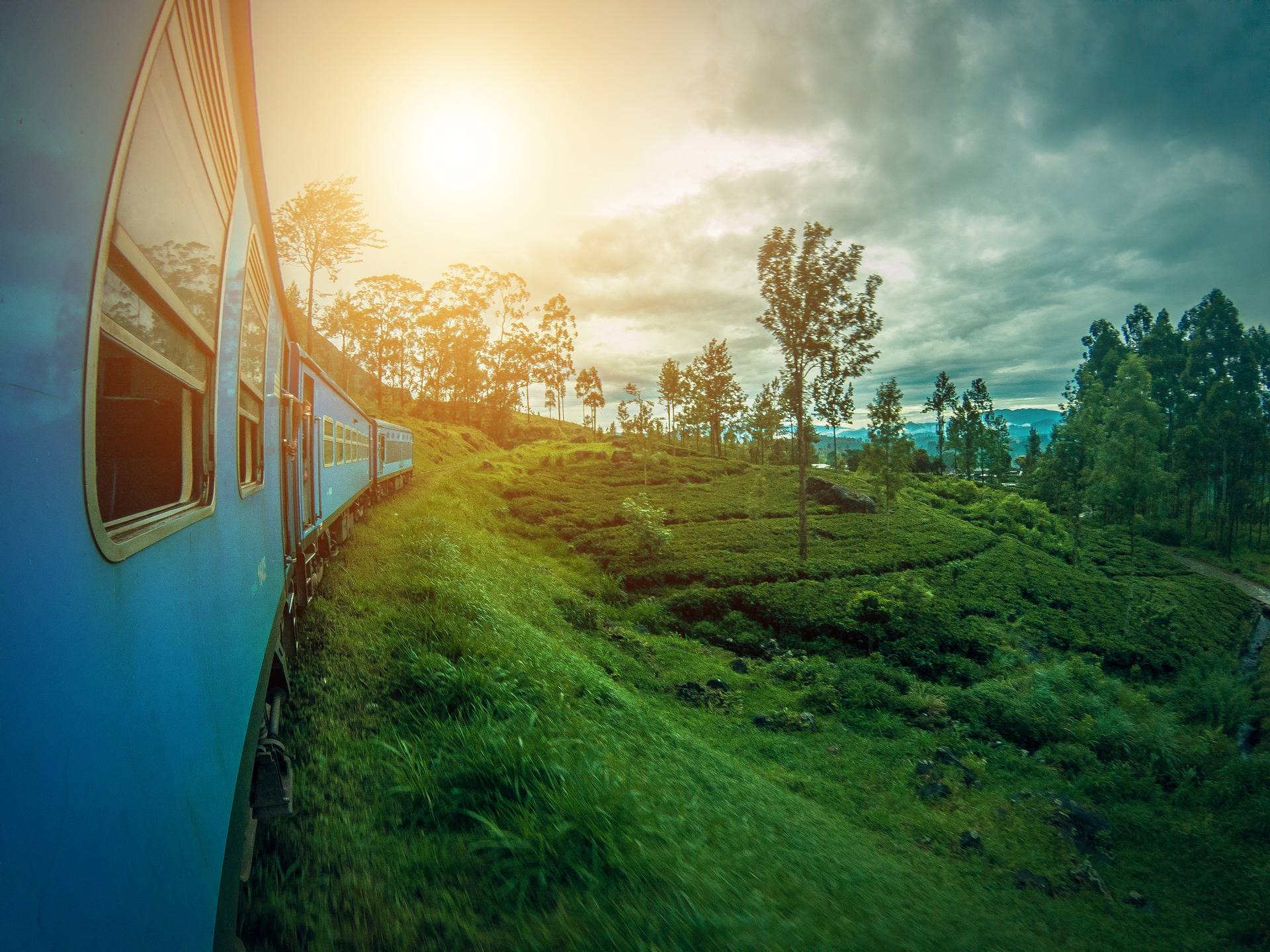 Les endroits qui méritent un détour au Sri Lanka